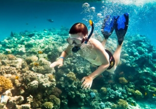 Expedicion de snorkel